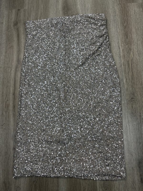 Skirt Maxi By Express In Silver, Size: Xl Online