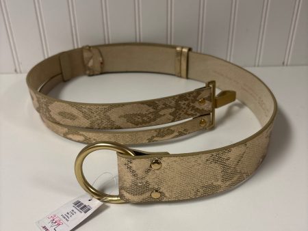 Belt By Chicos, Size: Medium Online Sale