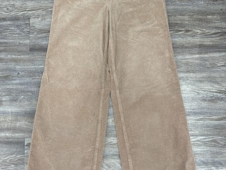 Pants Corduroy By Good American In Beige, Size: 6 Online