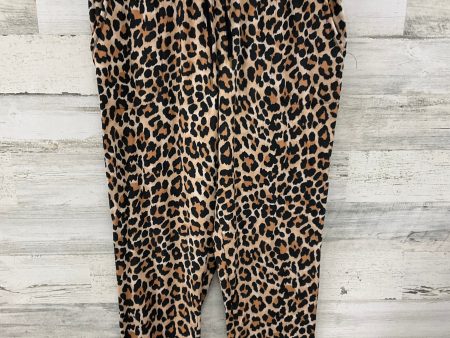 Pajamas 2pc By Secret Treasures In Animal Print, Size: M Cheap